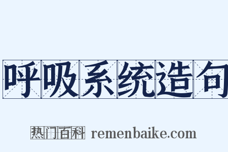 呼吸系统造句是什么意思的图片